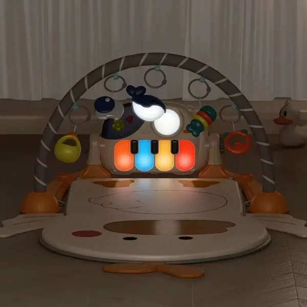 Baby gym
