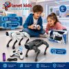 Chien Robot Intelligent